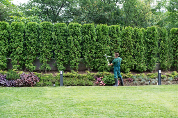 Landscape Design and Installation in Morrisonville, IL